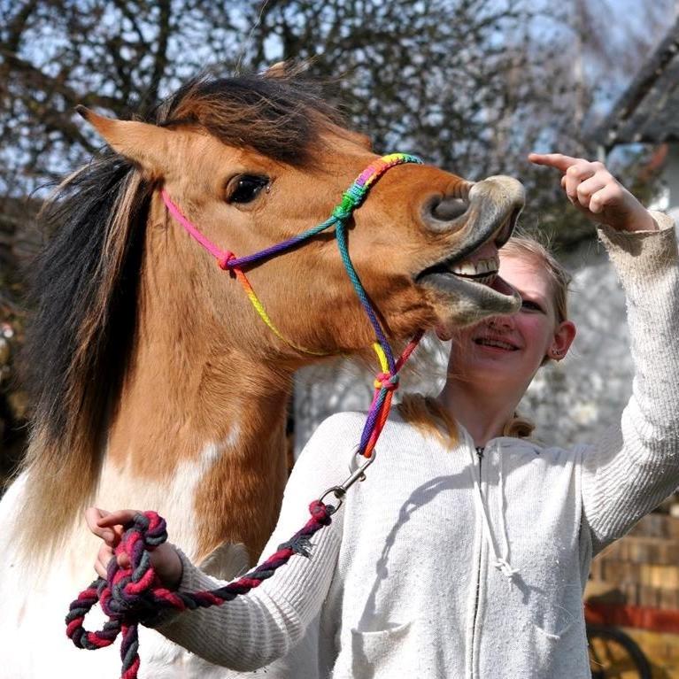 Anden særlig race Gormiti, Miti - Brugte to dage på at lære hende at smile (: billede 1
