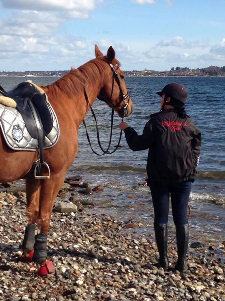 Anden særlig race Fox (Foxi) billede 5