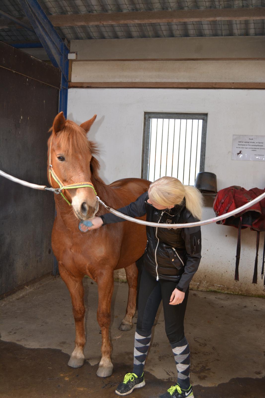 New Forest Spirit (Tidl. part) - He makes me smile  billede 6