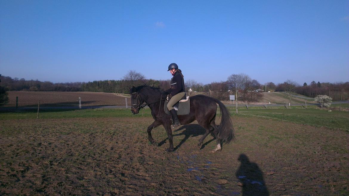 Oldenborg Medina af legaardslund billede 26