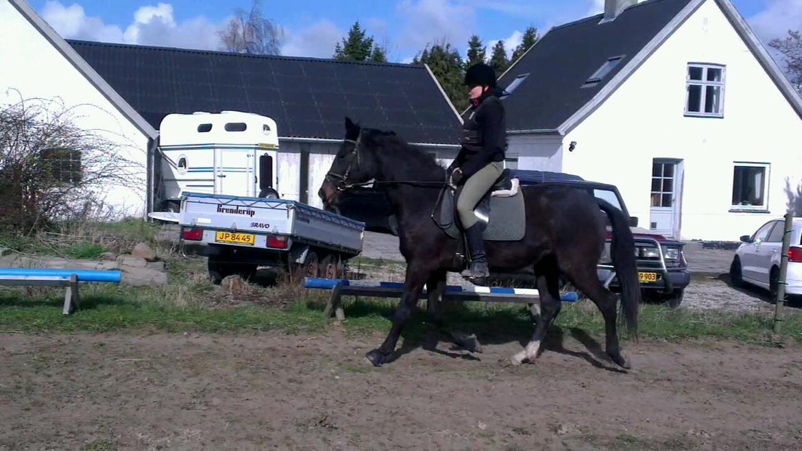 Oldenborg Medina af legaardslund billede 29