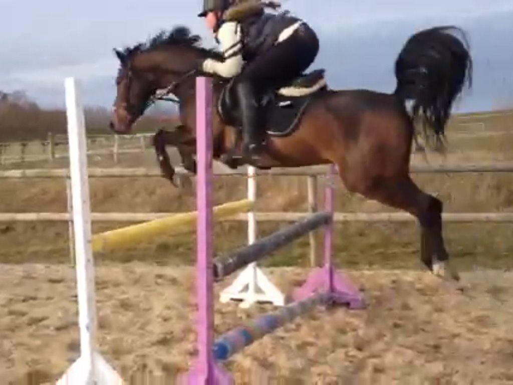 DSP Schrøter's La Couer billede 12