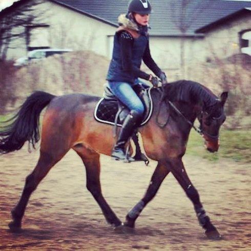 DSP Schrøter's La Couer billede 2