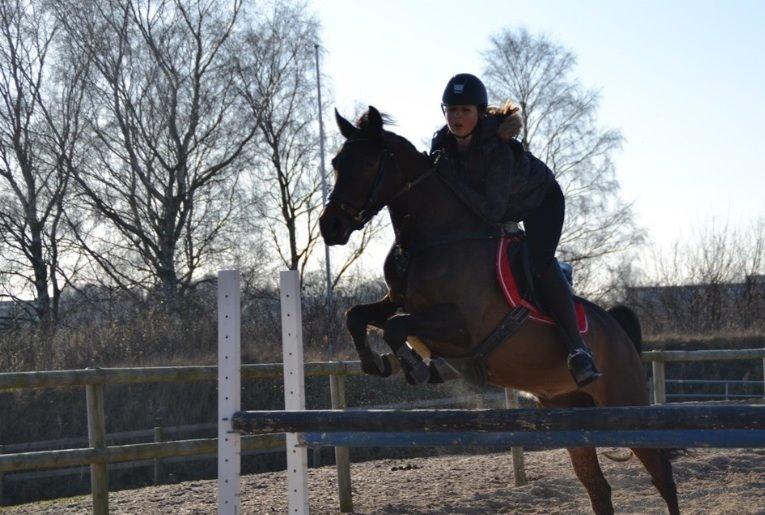 DSP Schrøter's La Couer billede 14