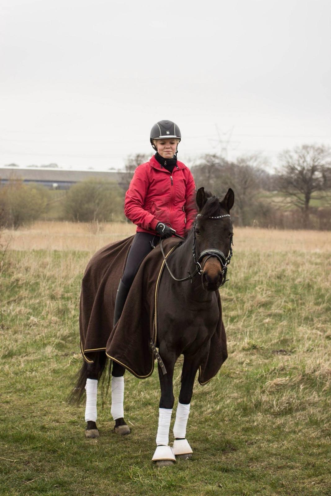 DSP Kjær's Calderina - En skøn forår's dag billede 2