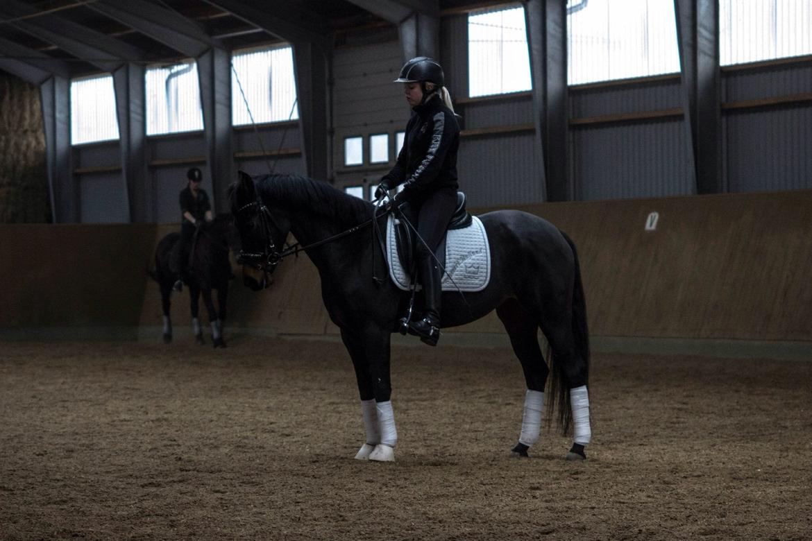 DSP Kjær's Calderina - 28-03-2014 billede 7