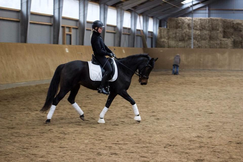 DSP Kjær's Calderina billede 5