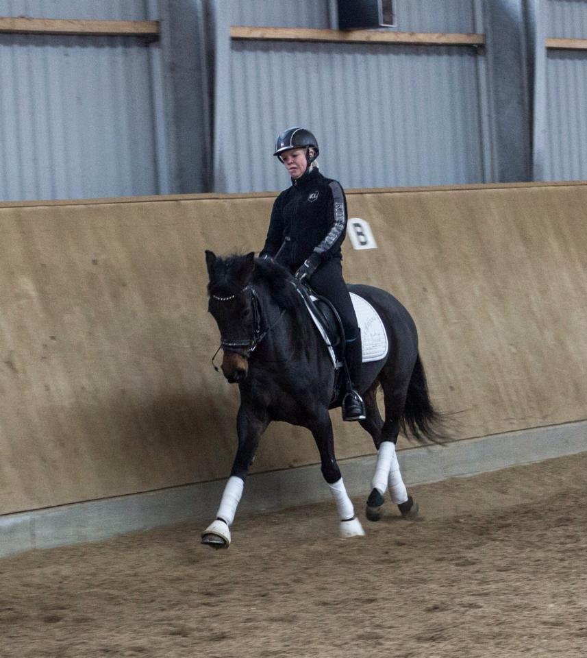 DSP Kjær's Calderina - 28-03-2014 billede 6