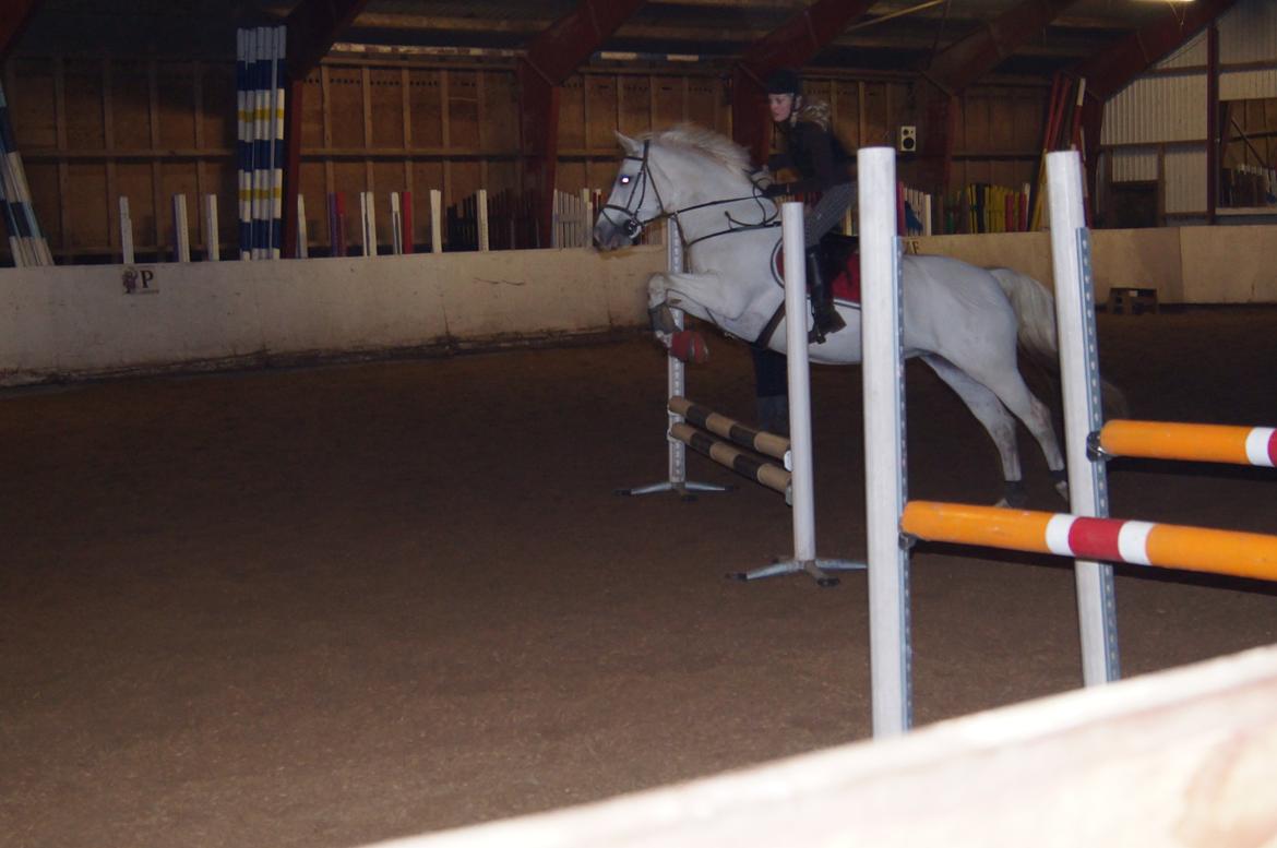 Connemara Gry Landlyst billede 3