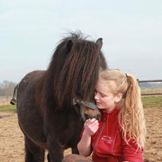 Knabstrupper Gizmo - lille pot - My soulmate <33