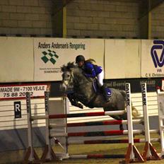 Connemara Thornbrook Star