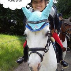 Anden særlig race Ivan