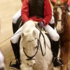 Anden særlig race Ivan