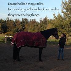 Anden særlig race Farissa