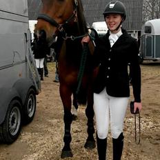 Hollandsk Varmblod Zetermo