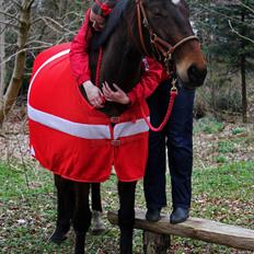 Anden særlig race Kaliffen (Givet Væk) *For Evigt Elsket <3*