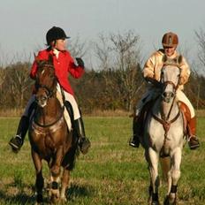 Dansk Varmblod La-troya