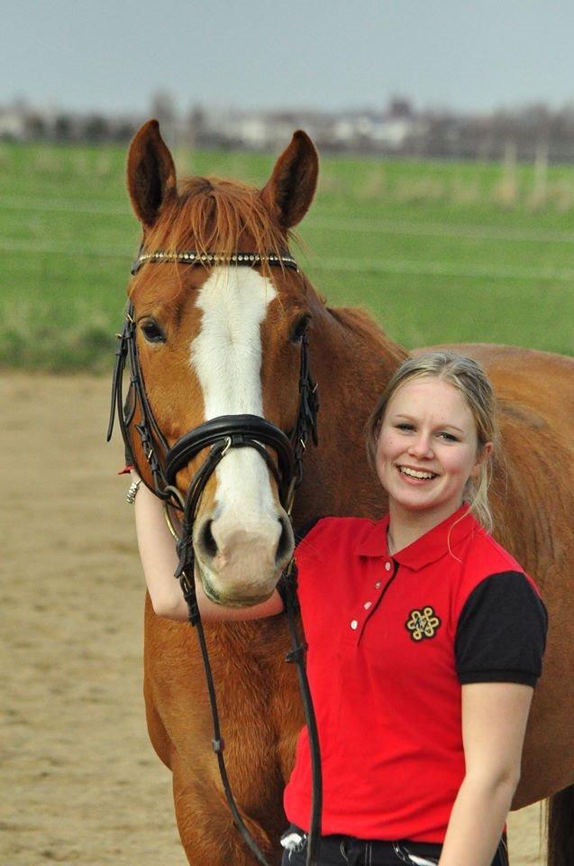 Hollandsk Varmblod Tina HL billede 2