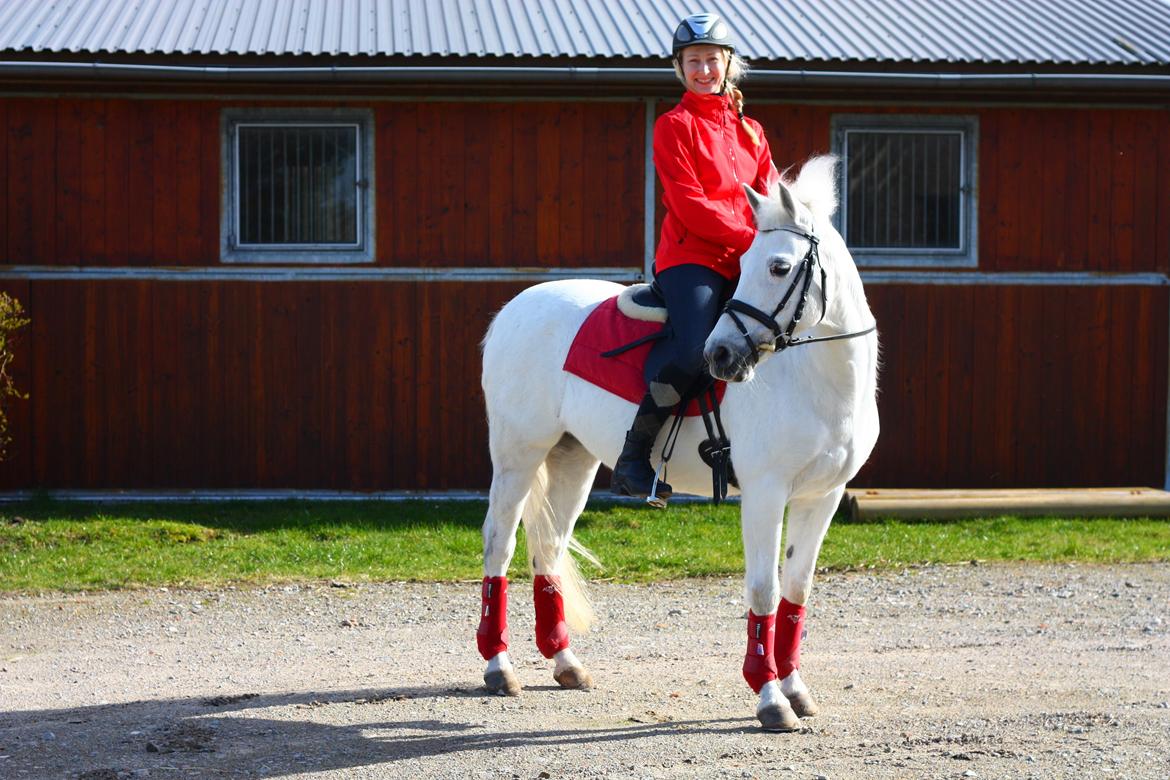 New Forest Øxenborg's Papagena billede 24