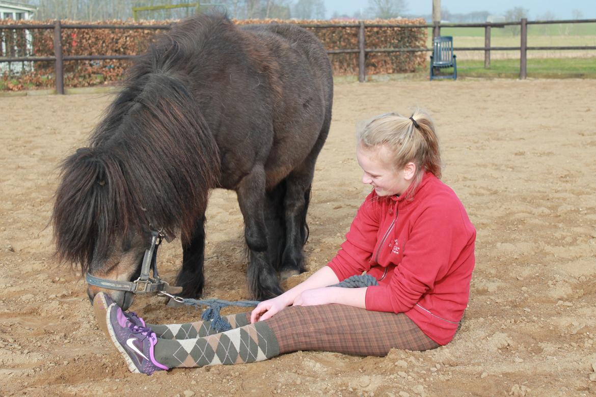 Knabstrupper Gizmo - lille pot - My soulmate <33 billede 10