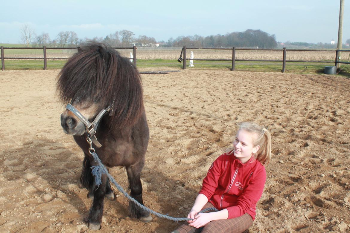 Knabstrupper Gizmo - lille pot - My soulmate <33 billede 33