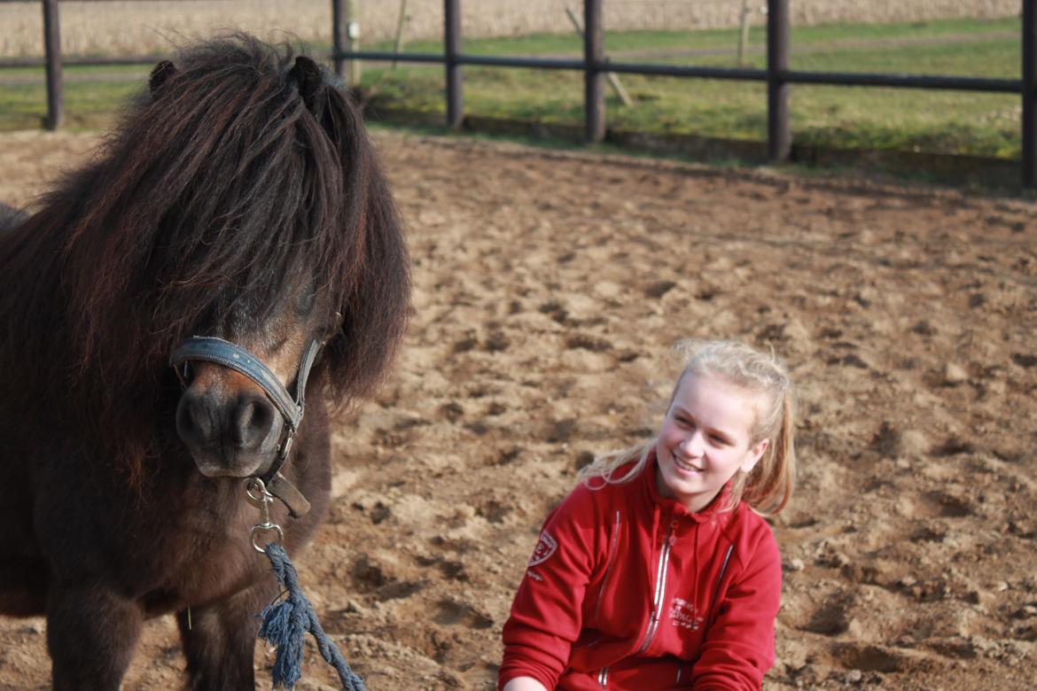 Knabstrupper Gizmo - lille pot - My soulmate <33 billede 34