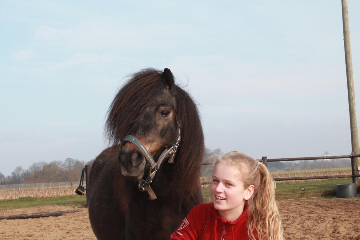 Knabstrupper Gizmo - lille pot - My soulmate <33 billede 25