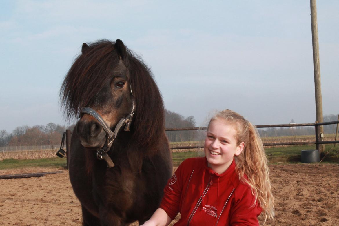Knabstrupper Gizmo - lille pot - My soulmate <33 billede 28