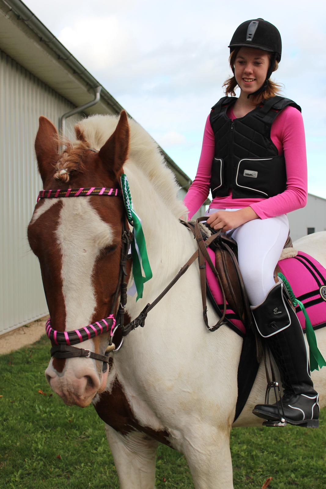 Irsk Sportspony Ernie Lad     |Bønie| billede 5