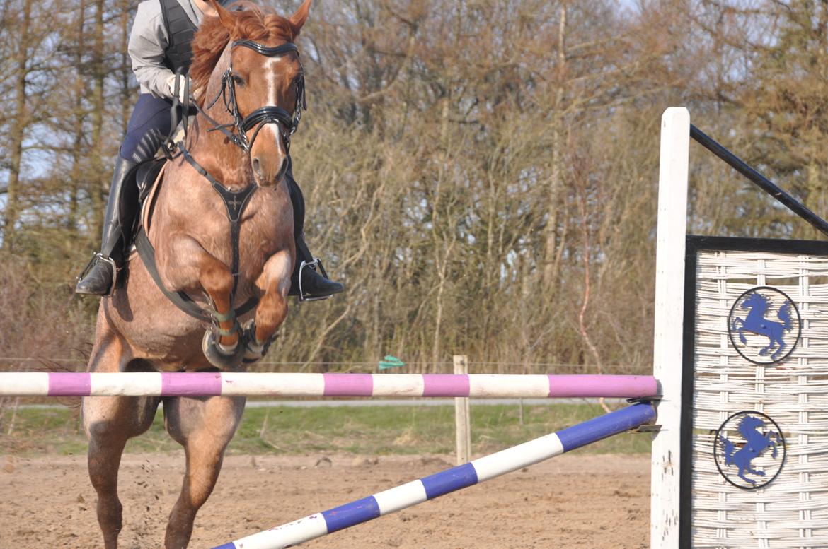 DSP Ll. sludekildes Faust billede 1