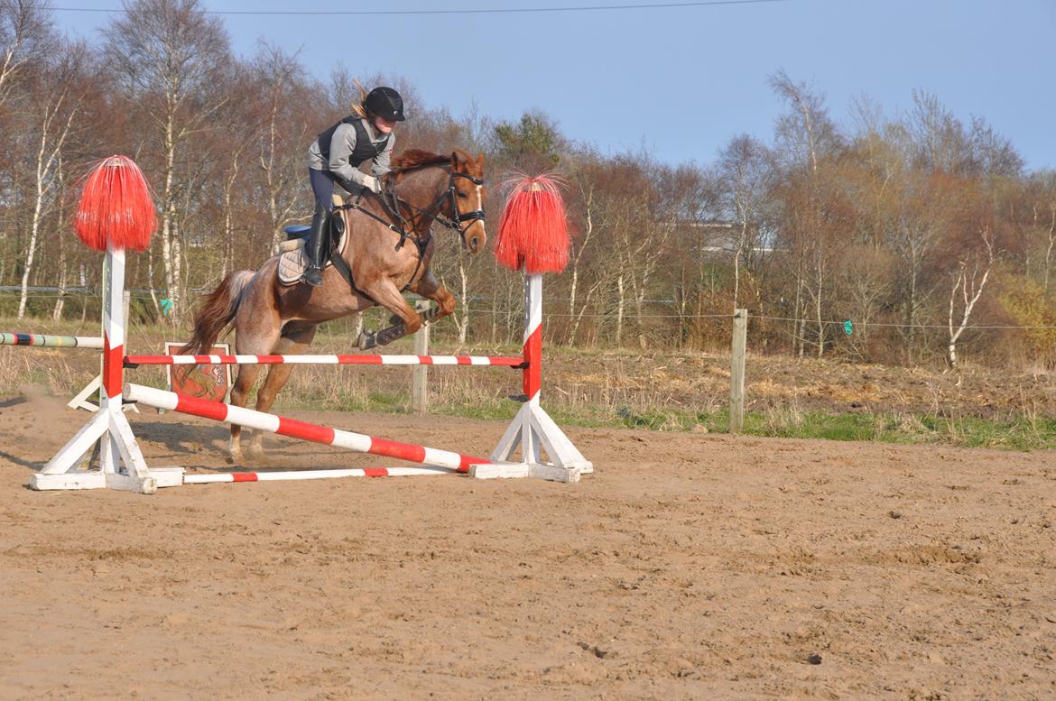 DSP Ll. sludekildes Faust billede 2