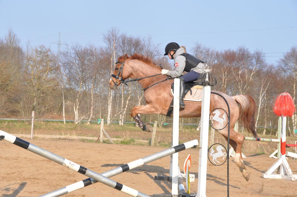 DSP Ll. sludekildes Faust billede 3