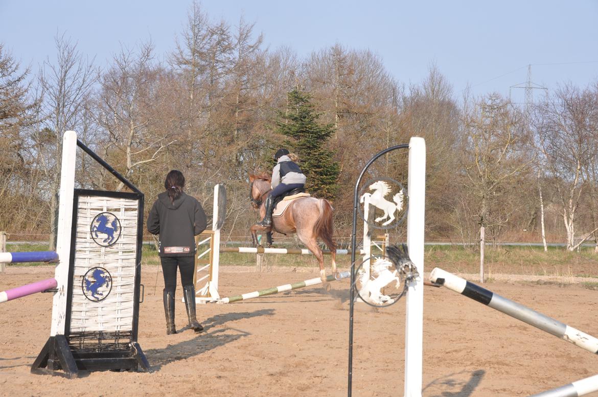 DSP Ll. sludekildes Faust billede 4