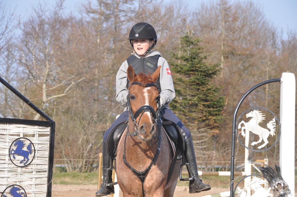 DSP Ll. sludekildes Faust billede 5