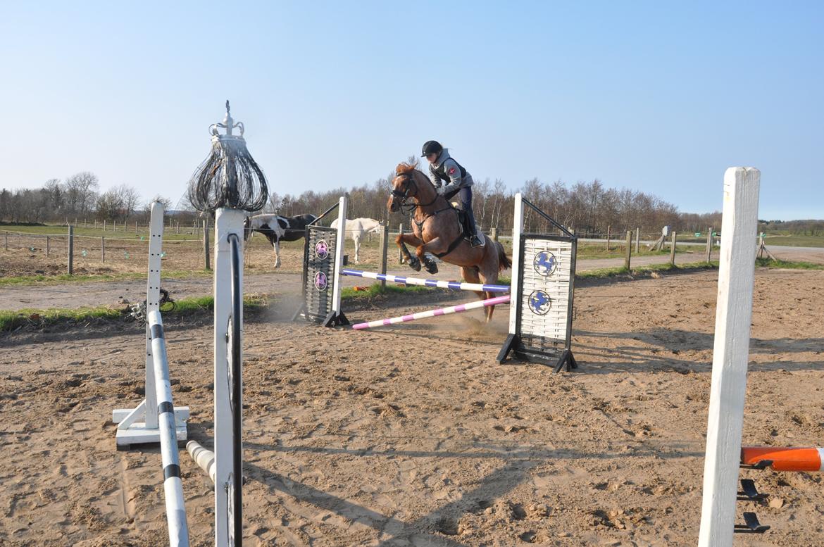 DSP Ll. sludekildes Faust billede 6