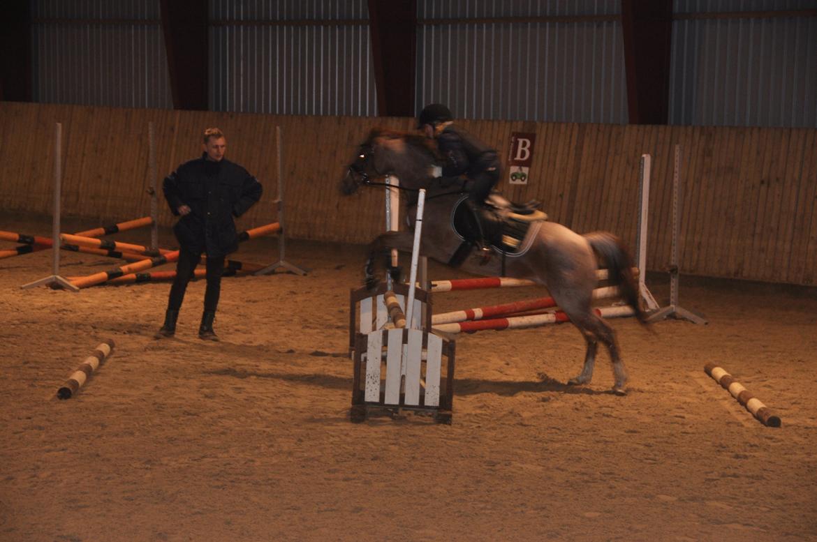 DSP Ll. sludekildes Faust billede 7