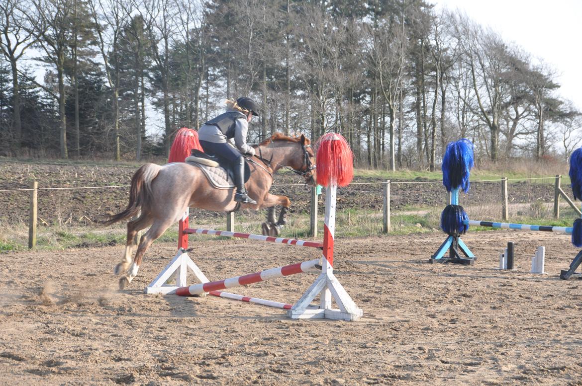 DSP Ll. sludekildes Faust billede 9