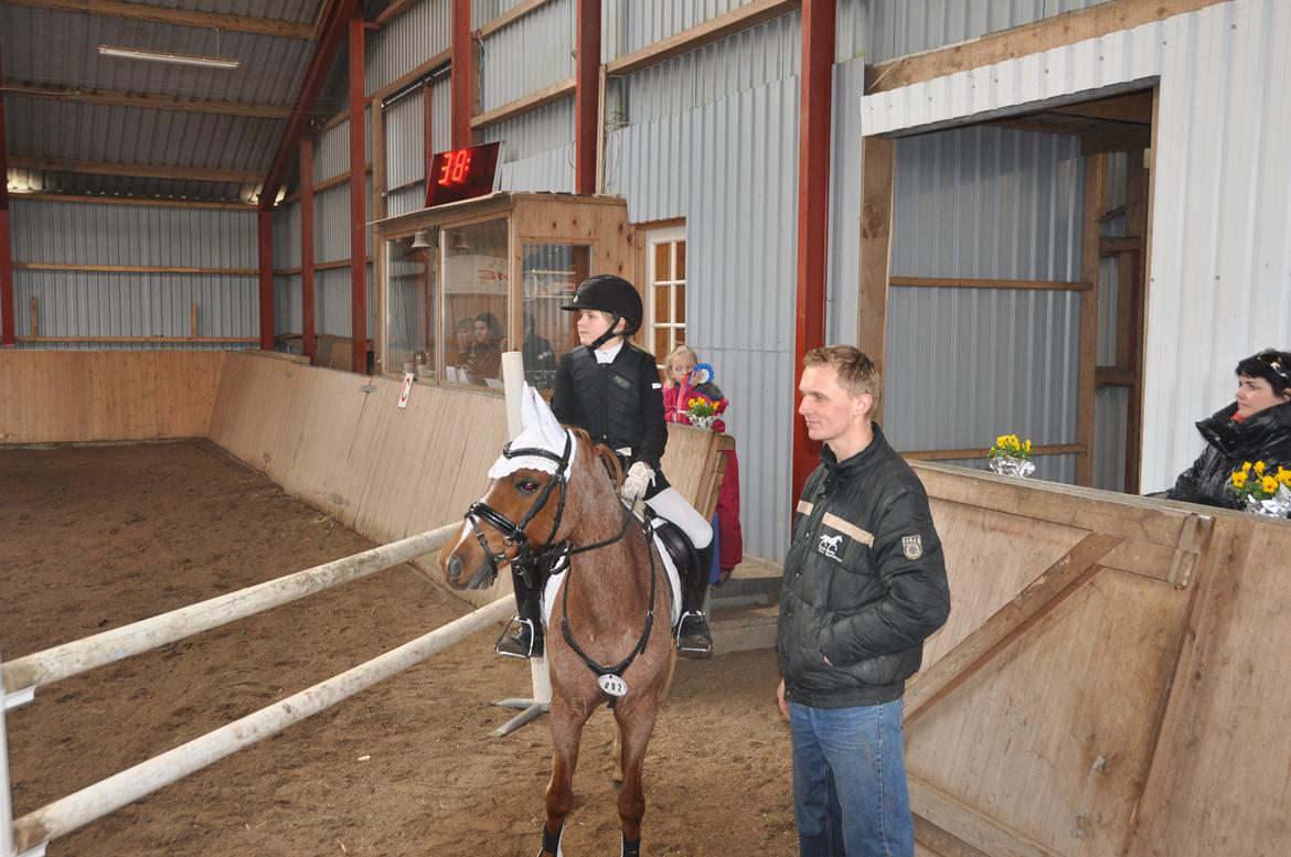 DSP Ll. sludekildes Faust billede 10