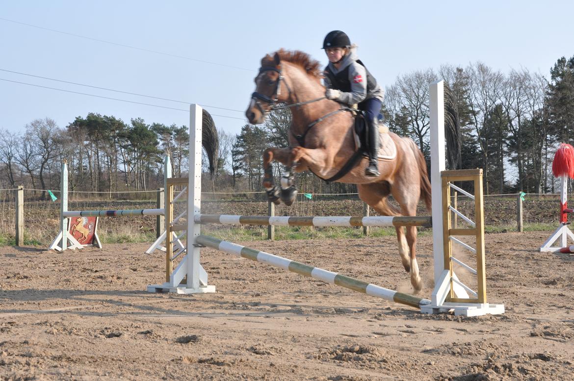 DSP Ll. sludekildes Faust billede 11