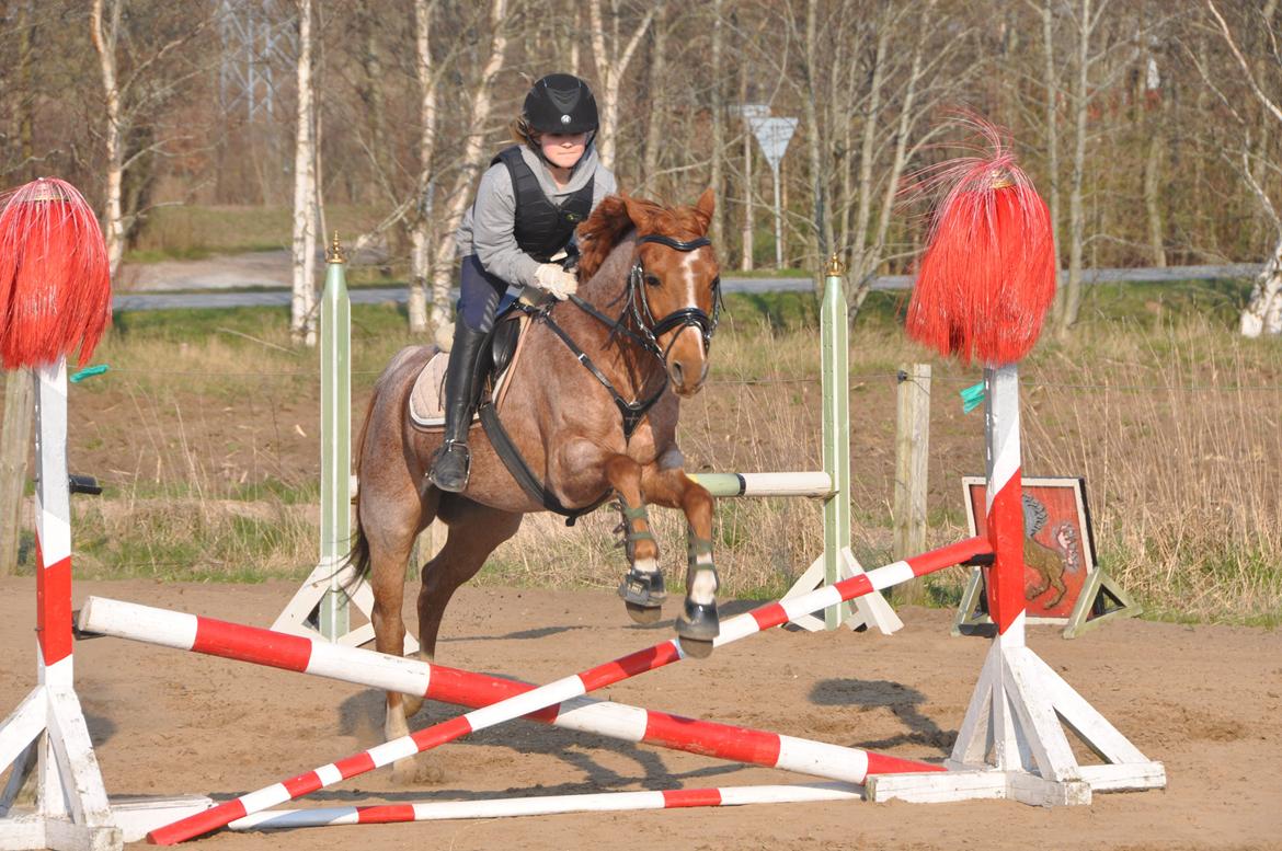 DSP Ll. sludekildes Faust billede 12