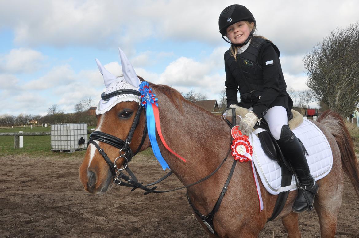 DSP Ll. sludekildes Faust billede 13