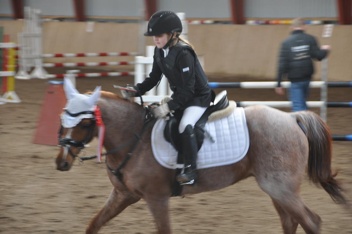 DSP Ll. sludekildes Faust billede 14