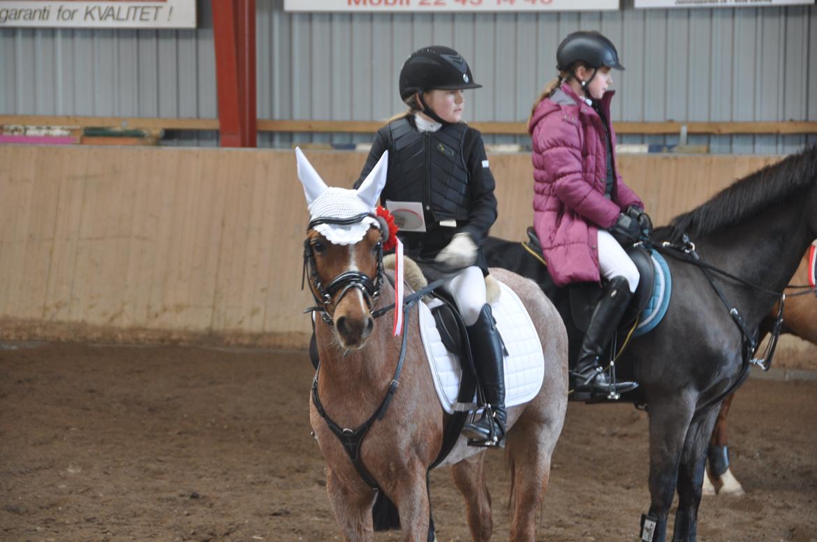 DSP Ll. sludekildes Faust billede 15