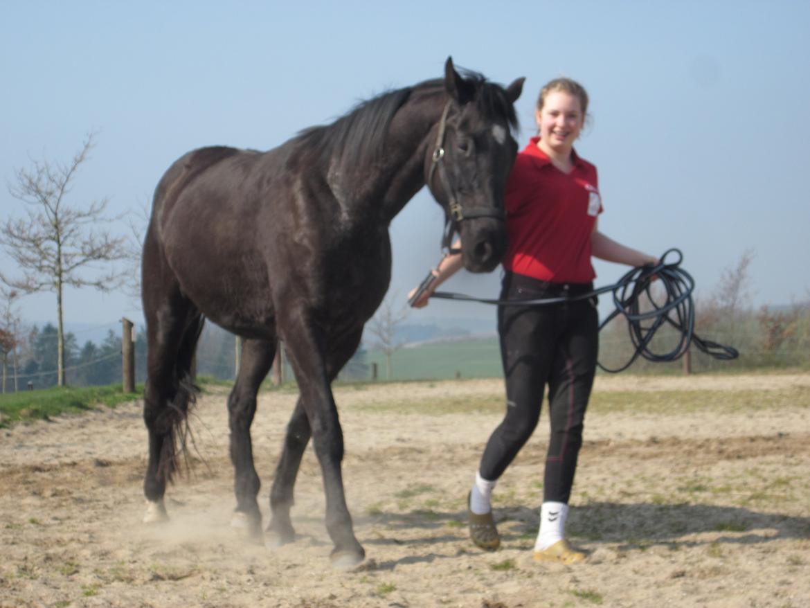 Dansk Varmblod Eleganz RDH - 30-03-2014 billede 6