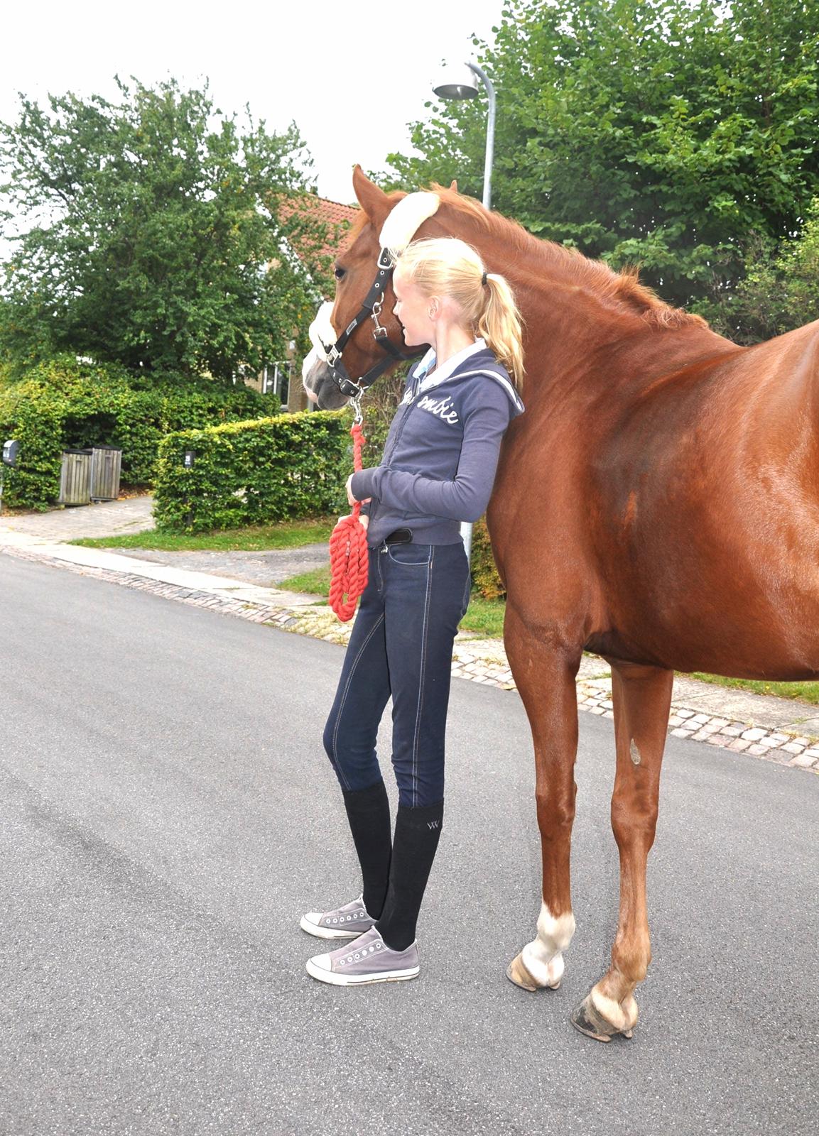 DSP Brandzöed Zoya Bredager - Zoya hjemme på vejen billede 15