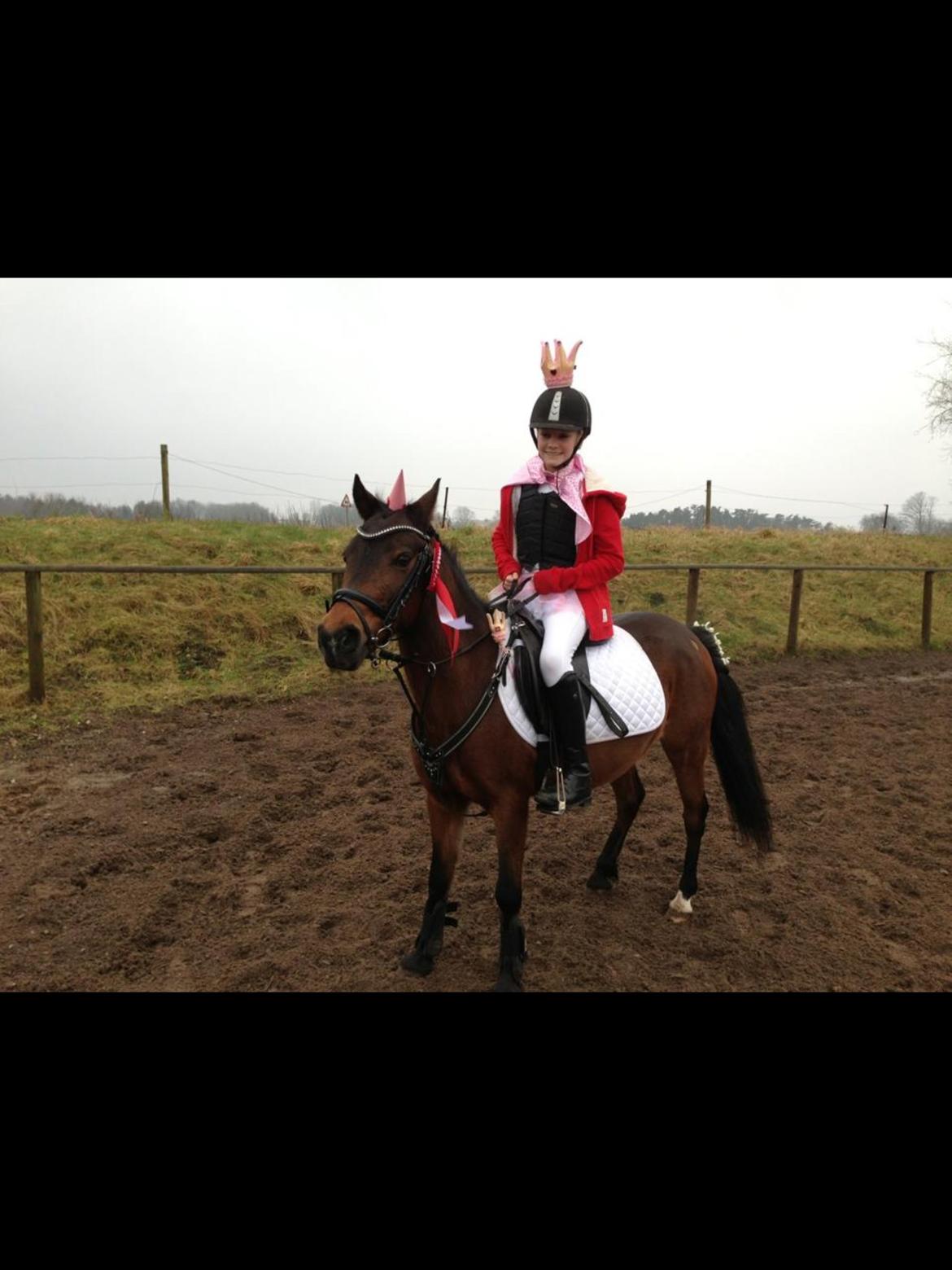 Anden særlig race Dior billede 6