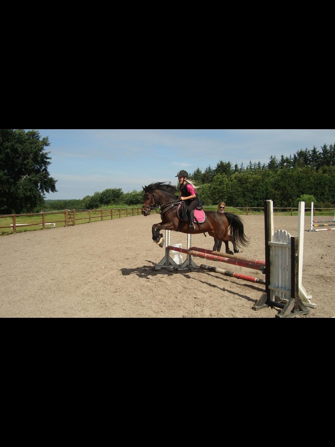 Anden særlig race Dior billede 7