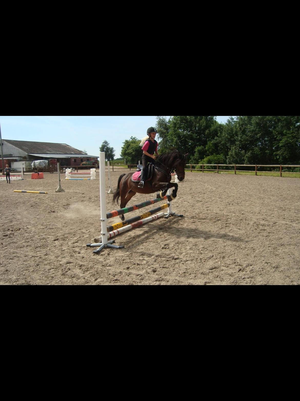 Anden særlig race Dior billede 8