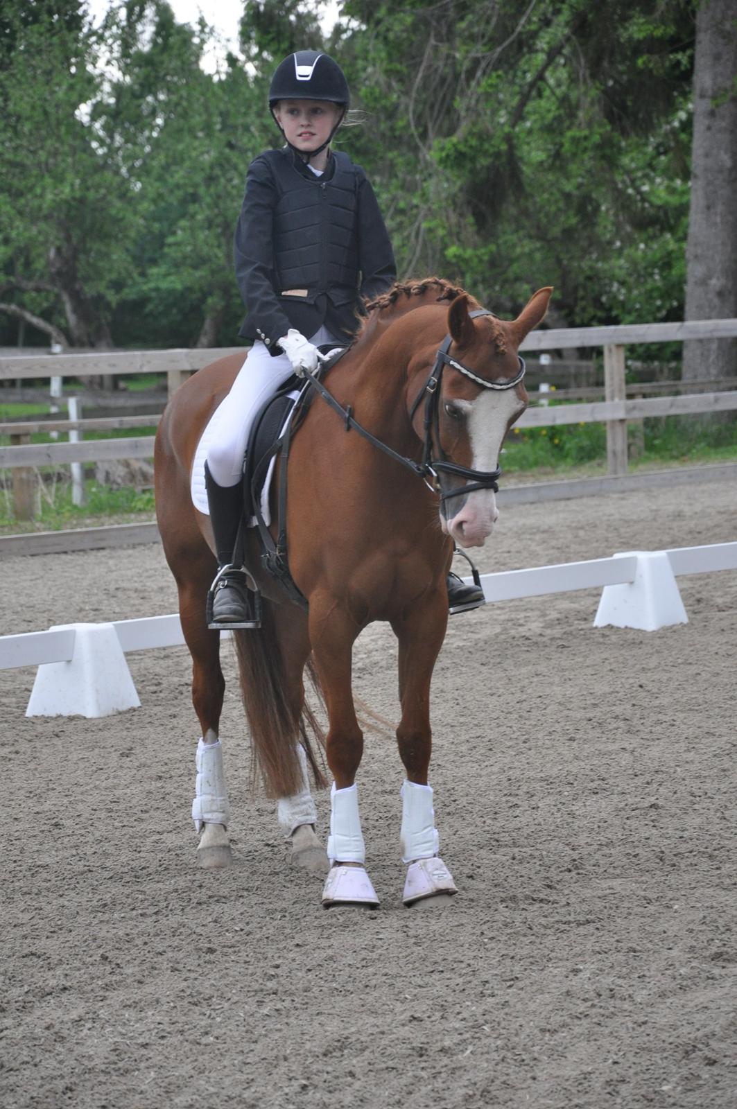 DSP Brandzöed Zoya Bredager - Den sødeste pony til præmieoverrækkelse på Gøngehusfarmen billede 18