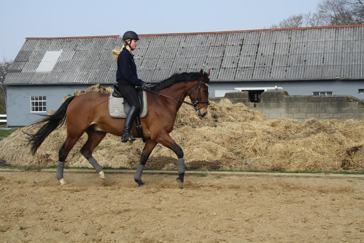 Oldenborg Narnio Roi - 30 Marts 2014 <3 billede 15